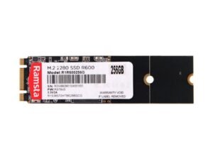 Ramsta R600 NGFF M.2 SSD 256G