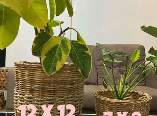 for sale Planters Basket abacca seagrass bulli