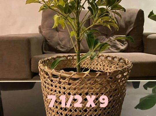 for sale Planters Basket abacca seagrass bulli