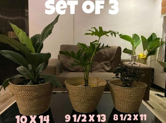 for sale Planters Basket abacca seagrass bulli