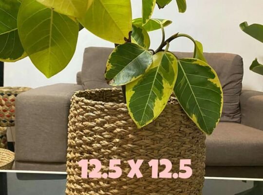 for sale Planters Basket abacca seagrass bulli