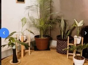 Buri Rug For Only P600 60Inches Diameter or 5ft We Accept Bulk Order