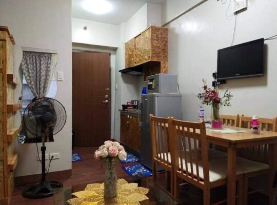 Fully furnished Studio in Manila Rivercity Residences near Makati Circuit Mandaluyong Pedro Gil Taf