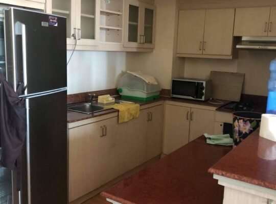 ondo 2 Bedrooms for Rent in Peninsula Garden Midtown Homes near Robinson’s Otis U.N taft