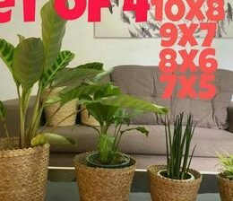 Plansters Basket Made of Buri 600 for Set(3pcs)