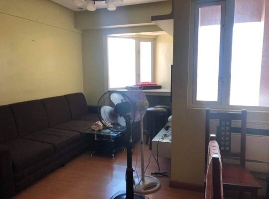 ondo 2 Bedrooms for Rent in Peninsula Garden Midtown Homes near Robinson’s Otis U.N taft