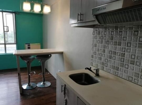 1 Bedrooms Condo For Rent in Manila Rivercity Residences near Makati Circuit Pedro Gil Mandaluyong