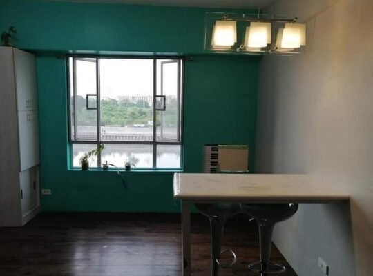 1 Bedrooms Condo For Rent in Manila Rivercity Residences near Makati Circuit Pedro Gil Mandaluyong