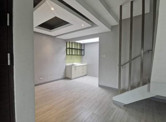 Brand NewTownhouse For Sale Kasa Berde in Parañaque near Airport NAIA 1 SM Bicutan