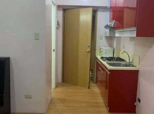 12k Furnished Condo For Rent in Manila near Makati Circuit Taft Pedro Gil Mandaluyong