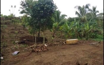 Farm Lot For sale located @Asis Mendez ,Cavite boundary ng Indang at Mendez 3754sqm