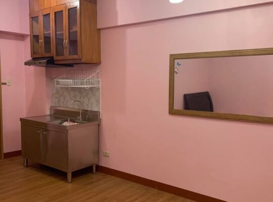 Pet friendly Affordable Condo For Rent In Manila Pedro Gil Taft Makati Circuit CBD Mandaluyong