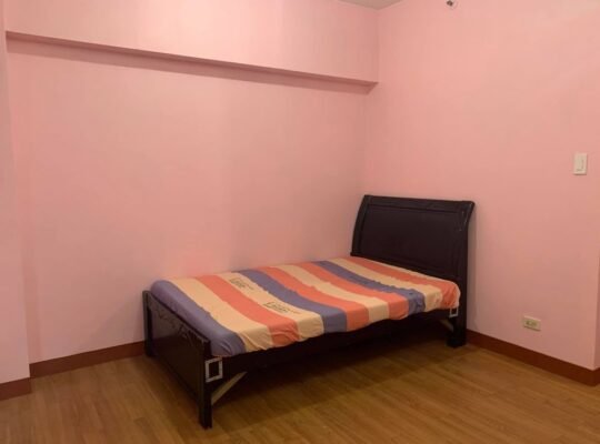 Pet friendly Affordable Condo For Rent In Manila Pedro Gil Taft Makati Circuit CBD Mandaluyong