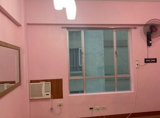 Pet friendly Affordable Condo For Rent In Manila Pedro Gil Taft Makati Circuit CBD Mandaluyong