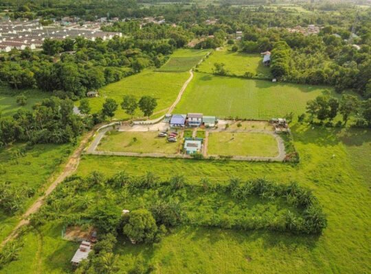 Santo Tomas Batangas FARM LOT for Sale