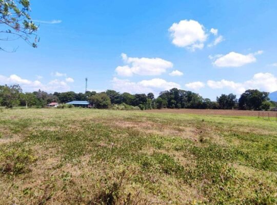 Santo Tomas Batangas FARM LOT for Sale