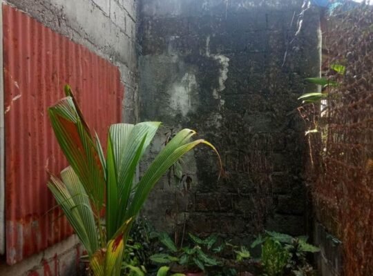 House and Lot for Sale in Dasmariñas Cavite near Puremart Schools Public Market