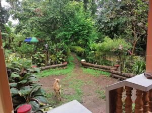 For sale house and lot 2118 SQM Indang,Cavite 5.4m only