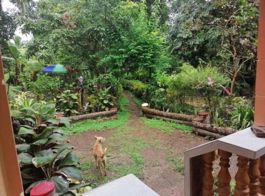 For sale house and lot 2118 SQM Indang,Cavite 5.4m only