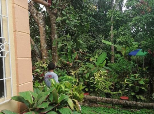 For sale house and lot 2118 SQM Indang,Cavite 5.4m only