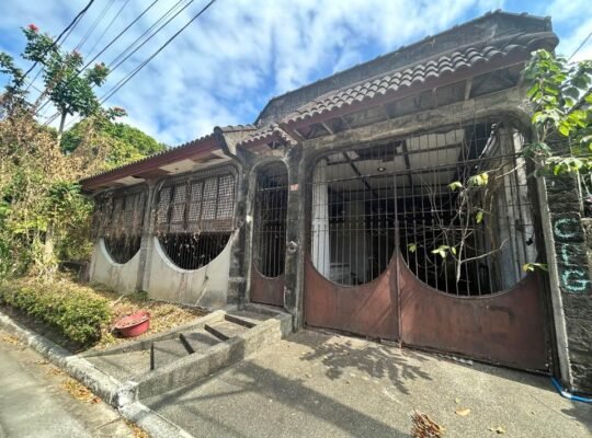 House & Lot for Sale