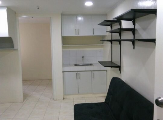 Tomas Morato and SCT Area Commercial Lot For Sale