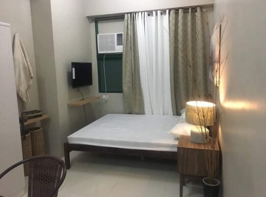 1 Bed 1 Bath Apartment/Condo