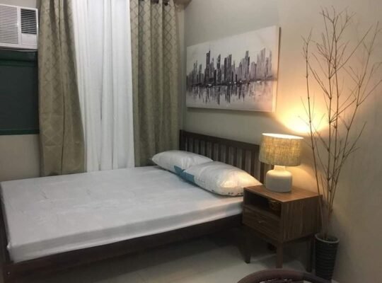 1 Bed 1 Bath Apartment/Condo