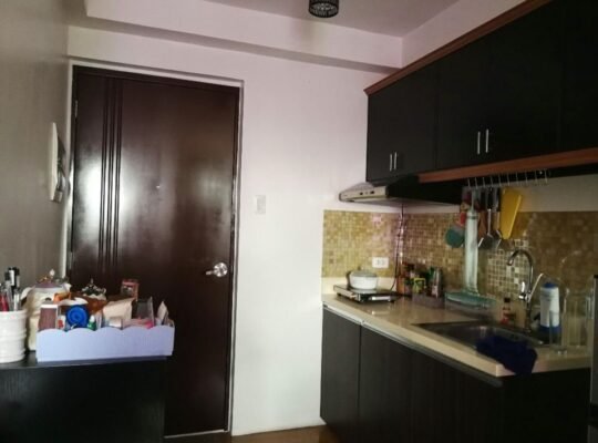 1 Bed 1 Bath Apartment/Condo