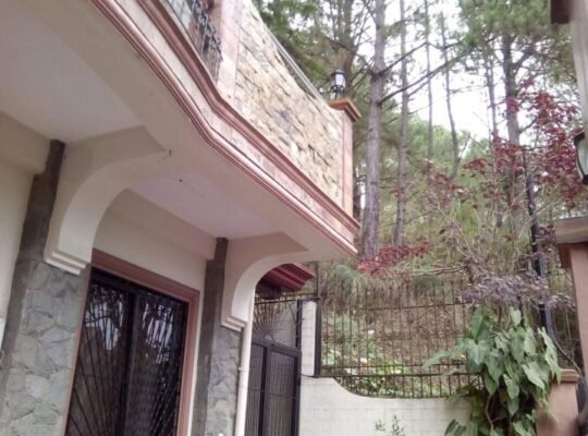 Condo 4 Beds 3 Baths House