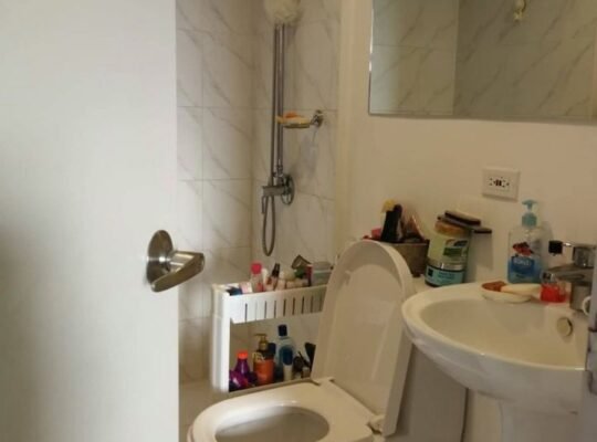 1 Bed 1 Bath Apartment/Condo