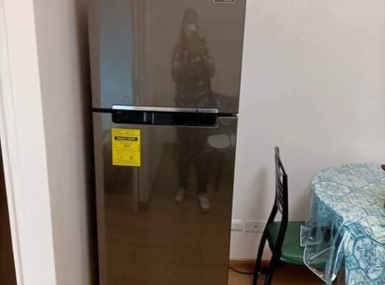 The rise residences for rent