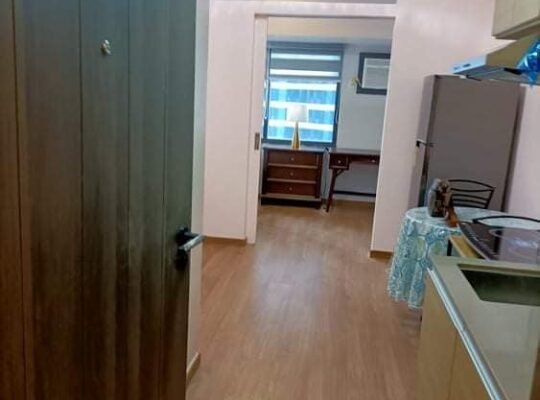 The rise residences for rent