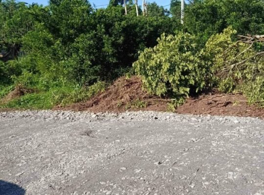Farm Lot in Tiaong Quezon