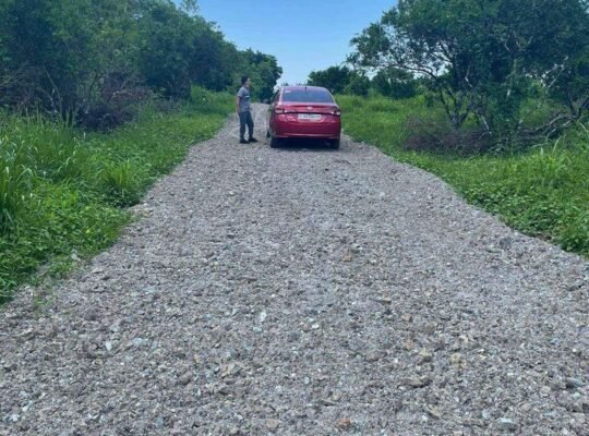 Farm Lot in Tiaong Quezon