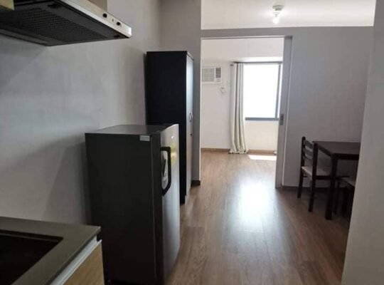 The rise residences for rent