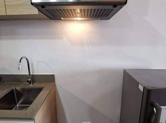 The rise residences for rent