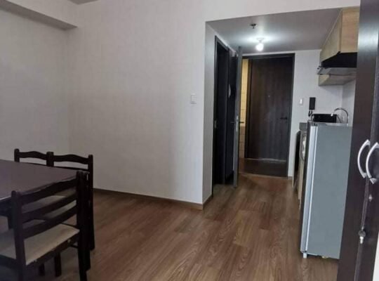 The rise residences for rent