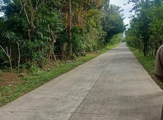691sqm Mini Farm lot in Dolores Quezon