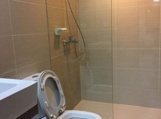 Three central for rent