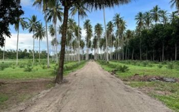 Farm Lot in Tiaong Quezon