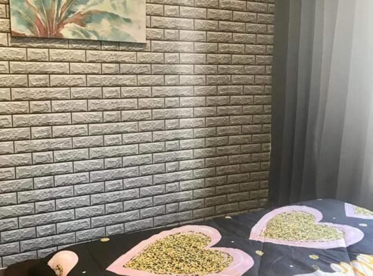 Air residences for rent