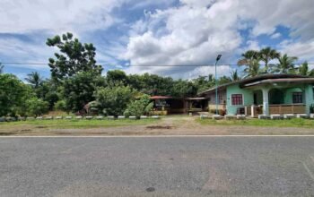 Lot for sale along hiway