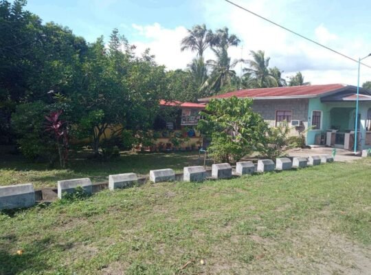 Lot for sale along hiway