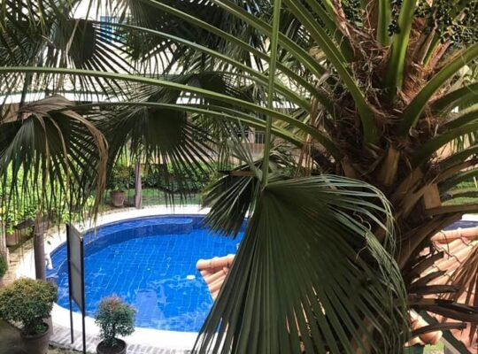 Tres Palmas for rent in taguig