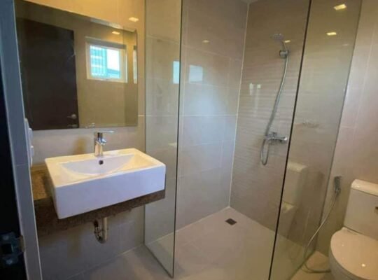 San Antonio residences for rent