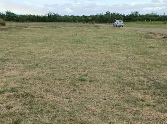 Farm lot for sale in Tiaong Quezon