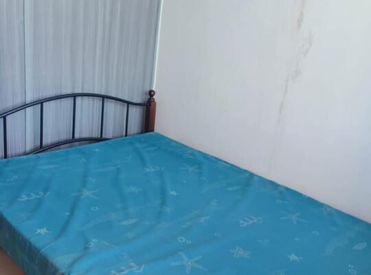 Green residences for rent