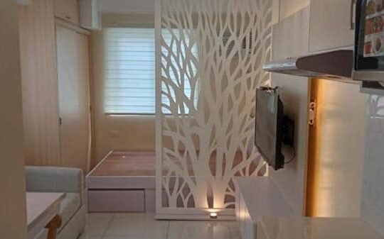 Monte Carlo Residences