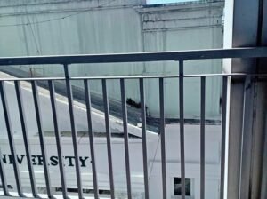 Green residences for rent